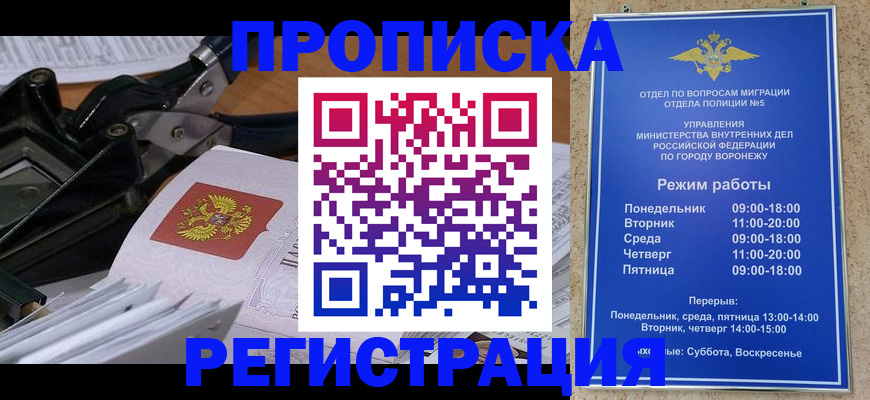 прописка законно в Борзе